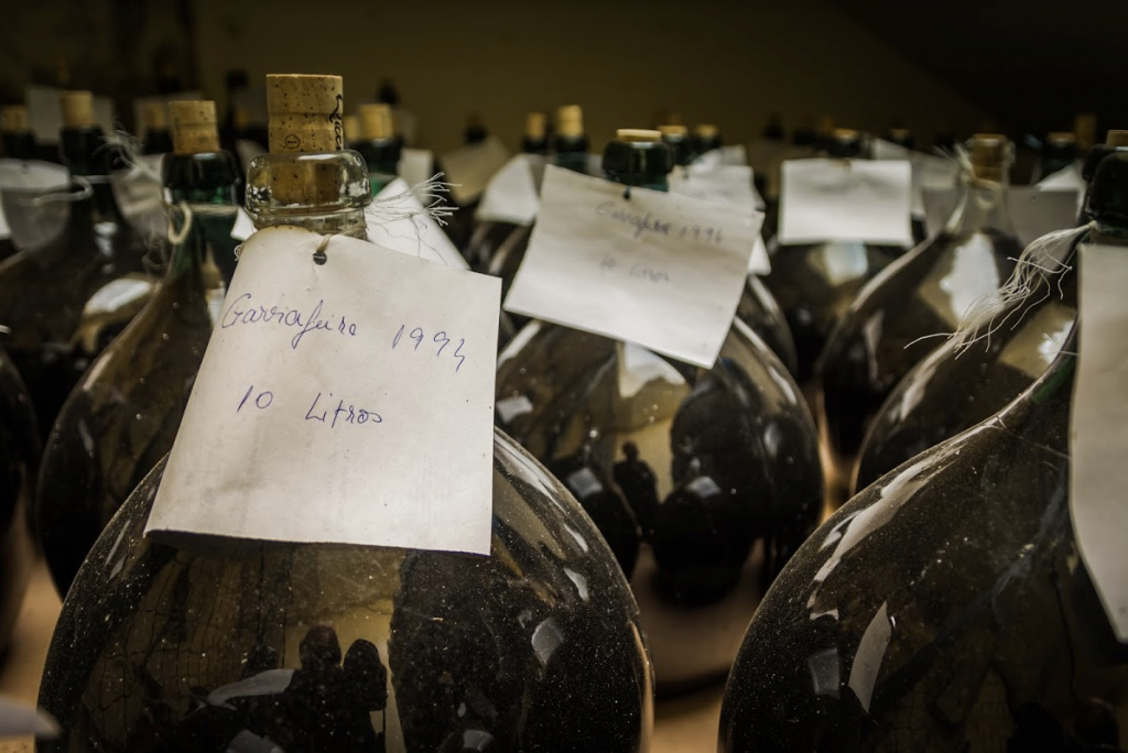 Port-Wine-Old-Bottles